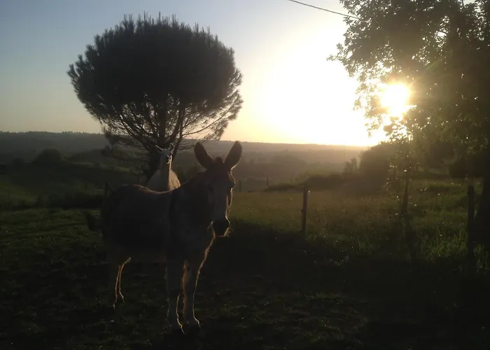 Maison Sur La Colline Cheminee Wifi Proche Thermes Dom wakacyjny